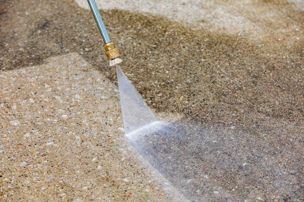 Best Roof Washing  in Elroy, WI